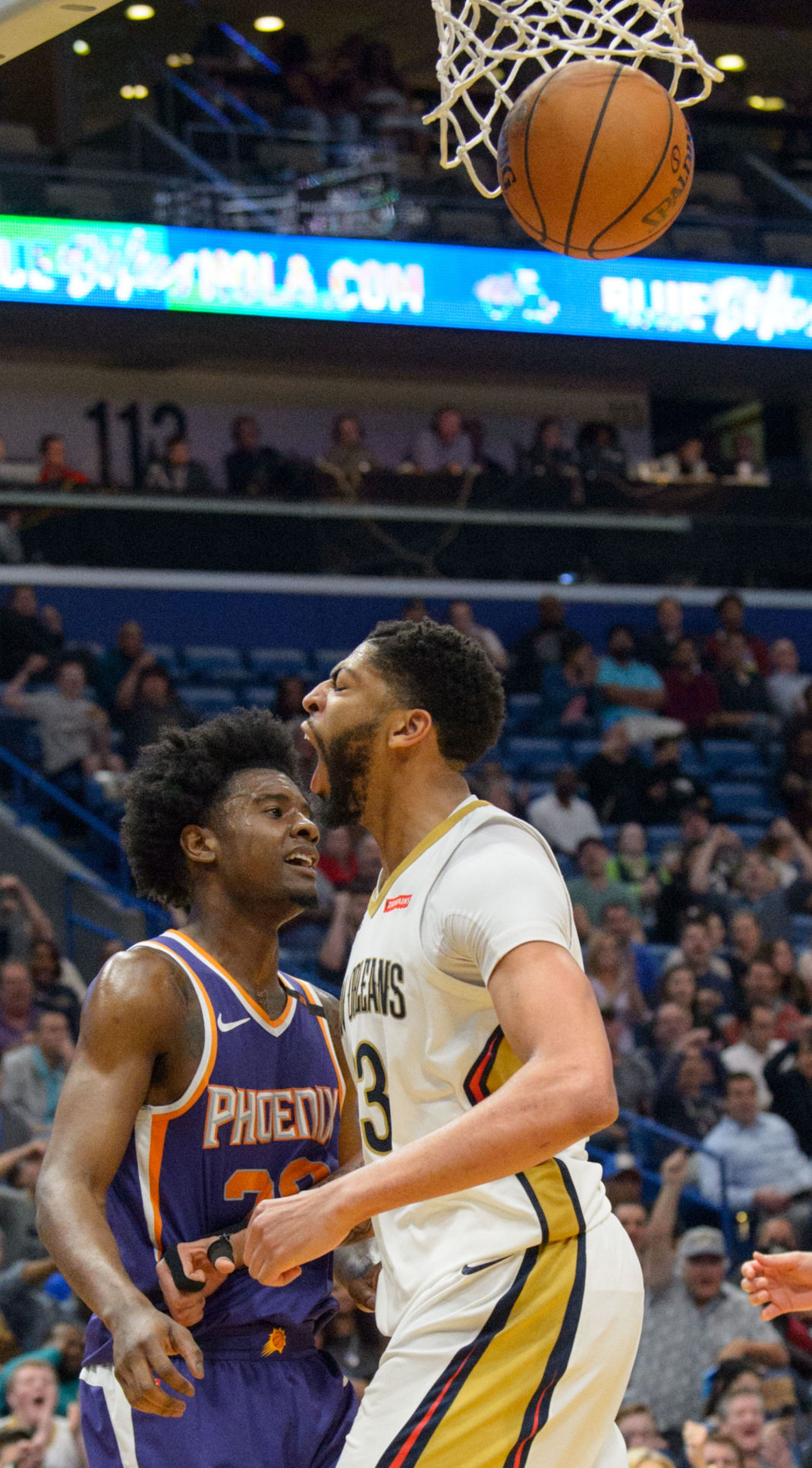 no.pelicanssuns.022718.025